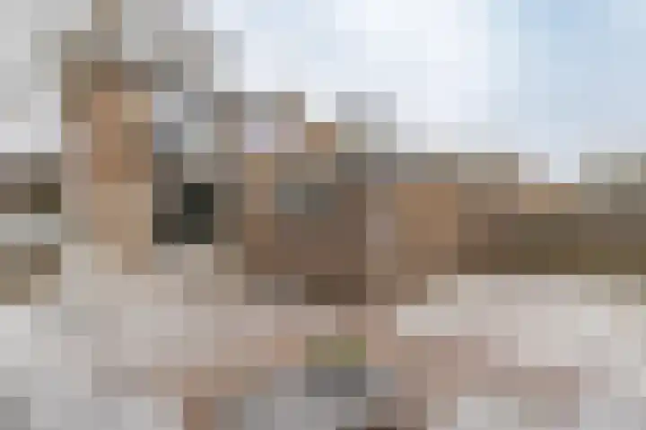 Bovendiepen 17 Zuidlaren thumbnail 4