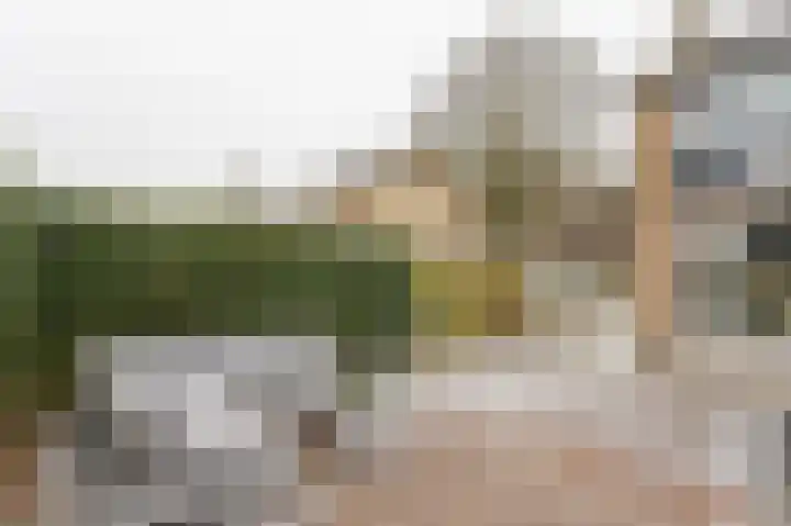 Bovendiepen 17 Zuidlaren thumbnail 41