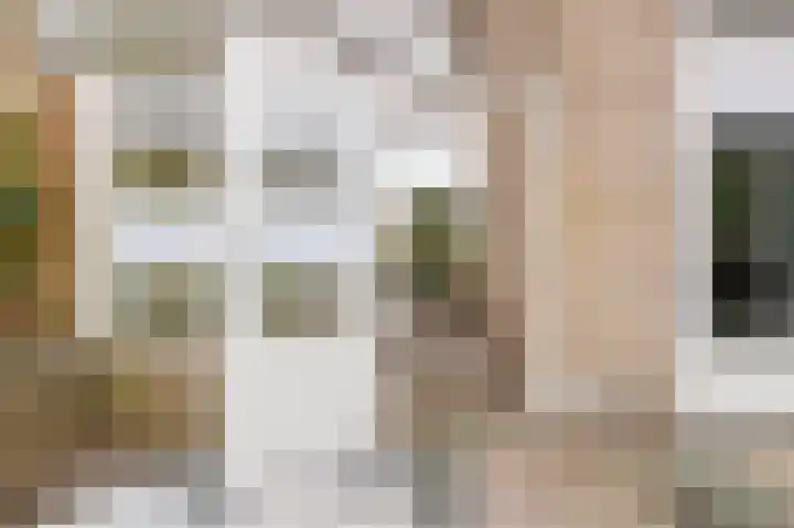 Bovendiepen 17 Zuidlaren thumbnail 42