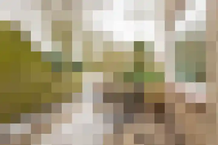Bovendiepen 17 Zuidlaren thumbnail 43