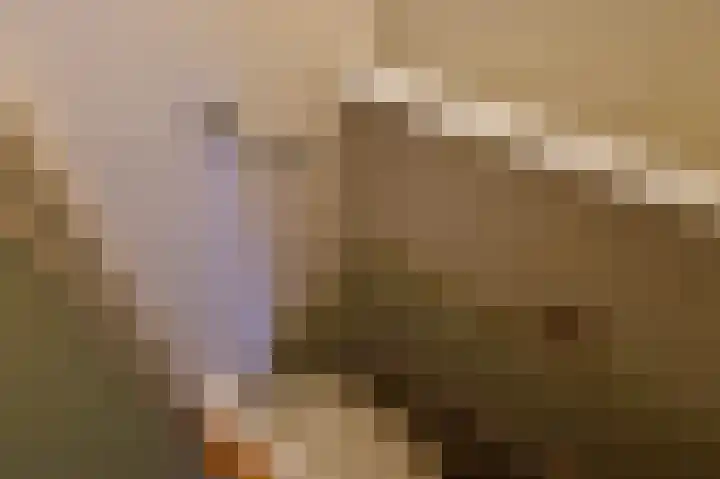 Bovendiepen 17 Zuidlaren thumbnail 46