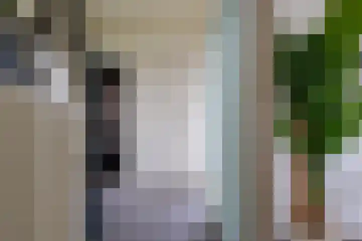 Bovendiepen 17 Zuidlaren thumbnail 47