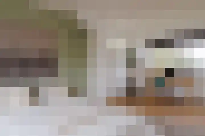 Bovendiepen 17 Zuidlaren thumbnail 50