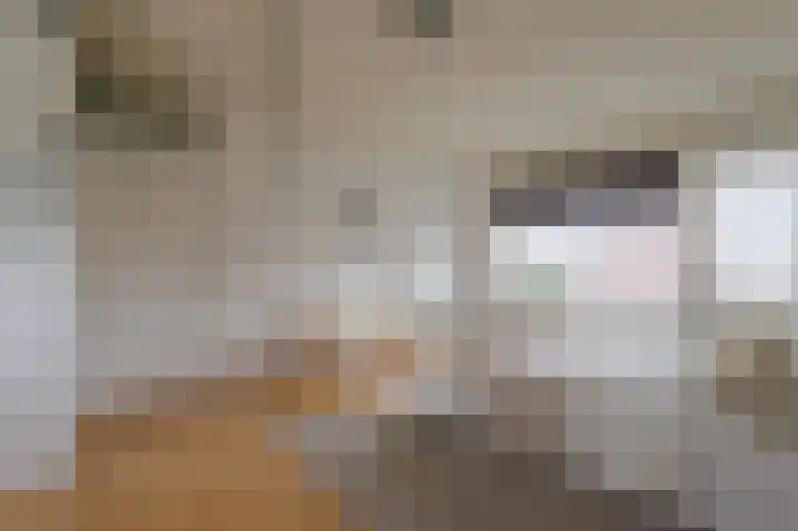 Bovendiepen 17 Zuidlaren thumbnail 54
