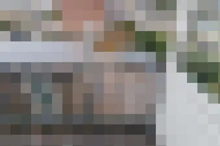 Bovendiepen 17 Zuidlaren thumbnail 57