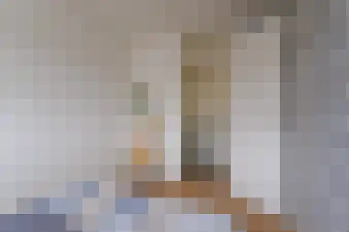 Bovendiepen 17 Zuidlaren thumbnail 61