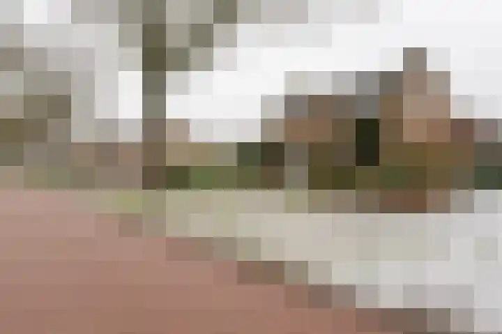 Bovendiepen 17 Zuidlaren thumbnail 7