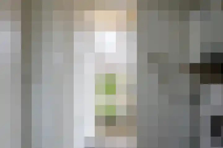Bovendiepen 17 Zuidlaren thumbnail 72