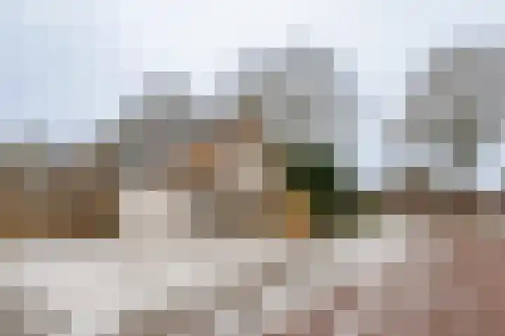 Bovendiepen 17 Zuidlaren thumbnail 74