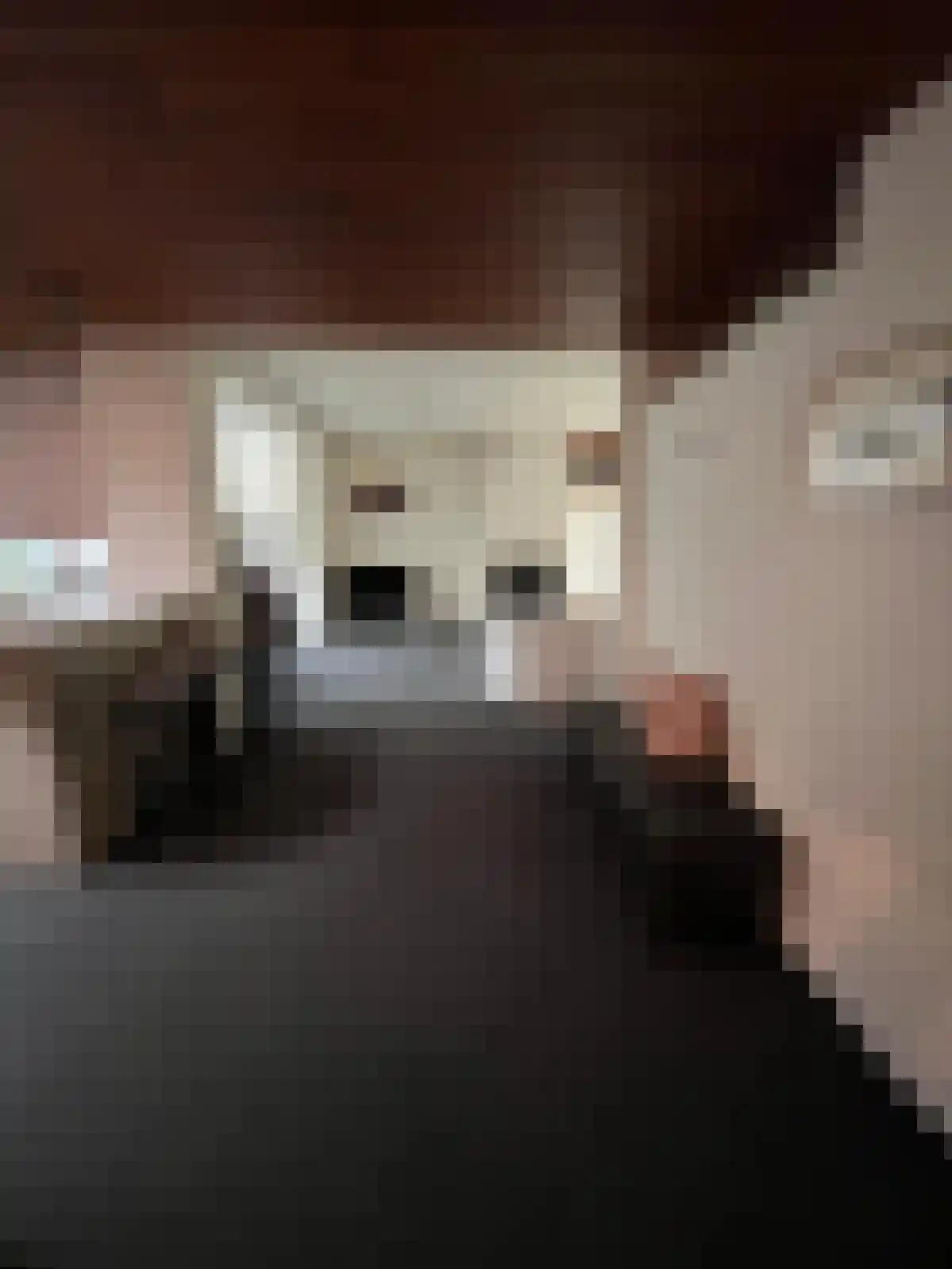 Bovendiepen 21 Zuidlaren thumbnail 13