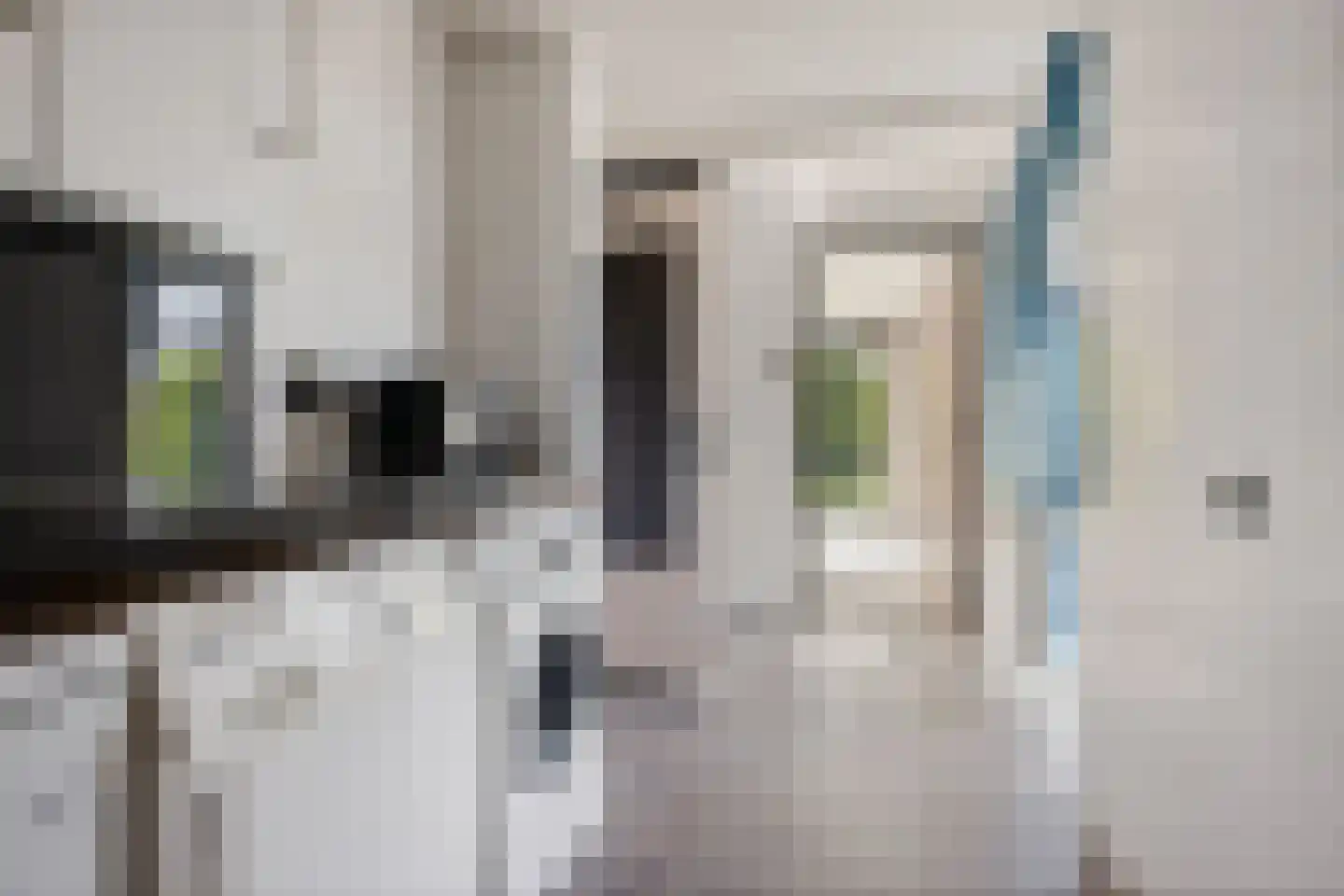 Bovendiepen 21 Zuidlaren thumbnail 16