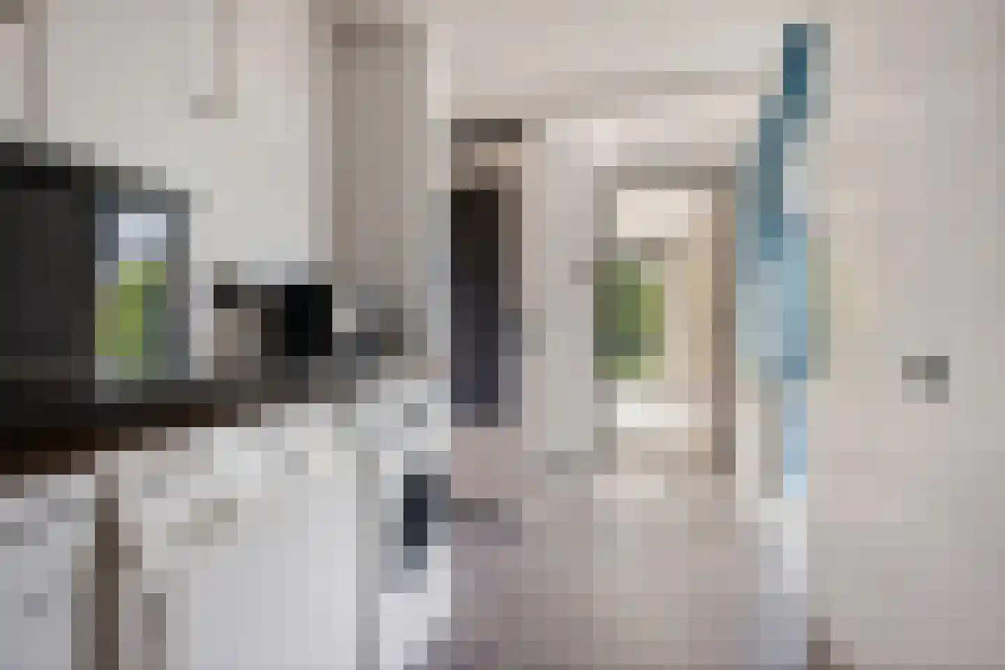 Bovendiepen 21 Zuidlaren thumbnail 20