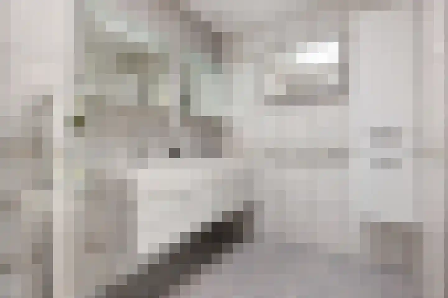 Bovendiepen 21 Zuidlaren thumbnail 24