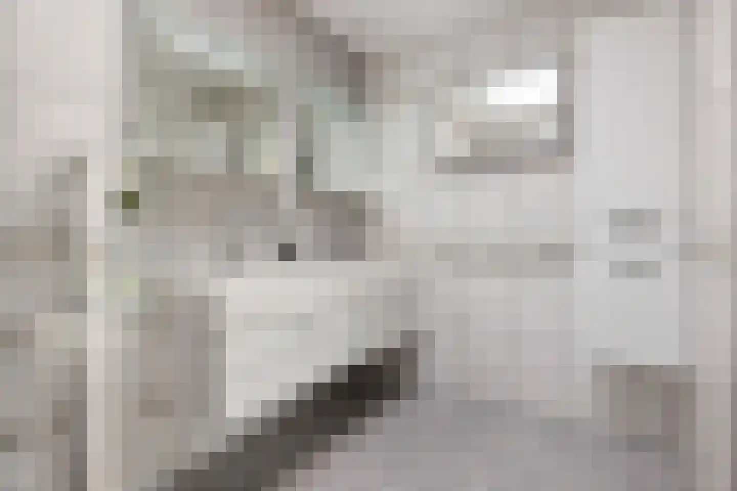 Bovendiepen 21 Zuidlaren thumbnail 26