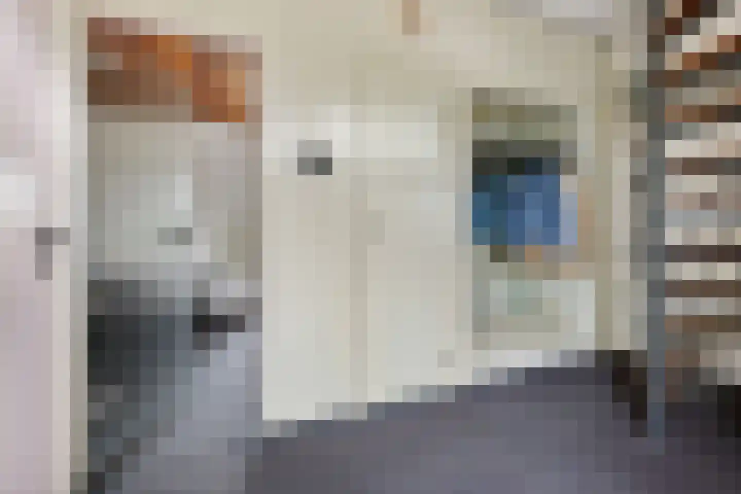 Bovendiepen 21 Zuidlaren thumbnail 34