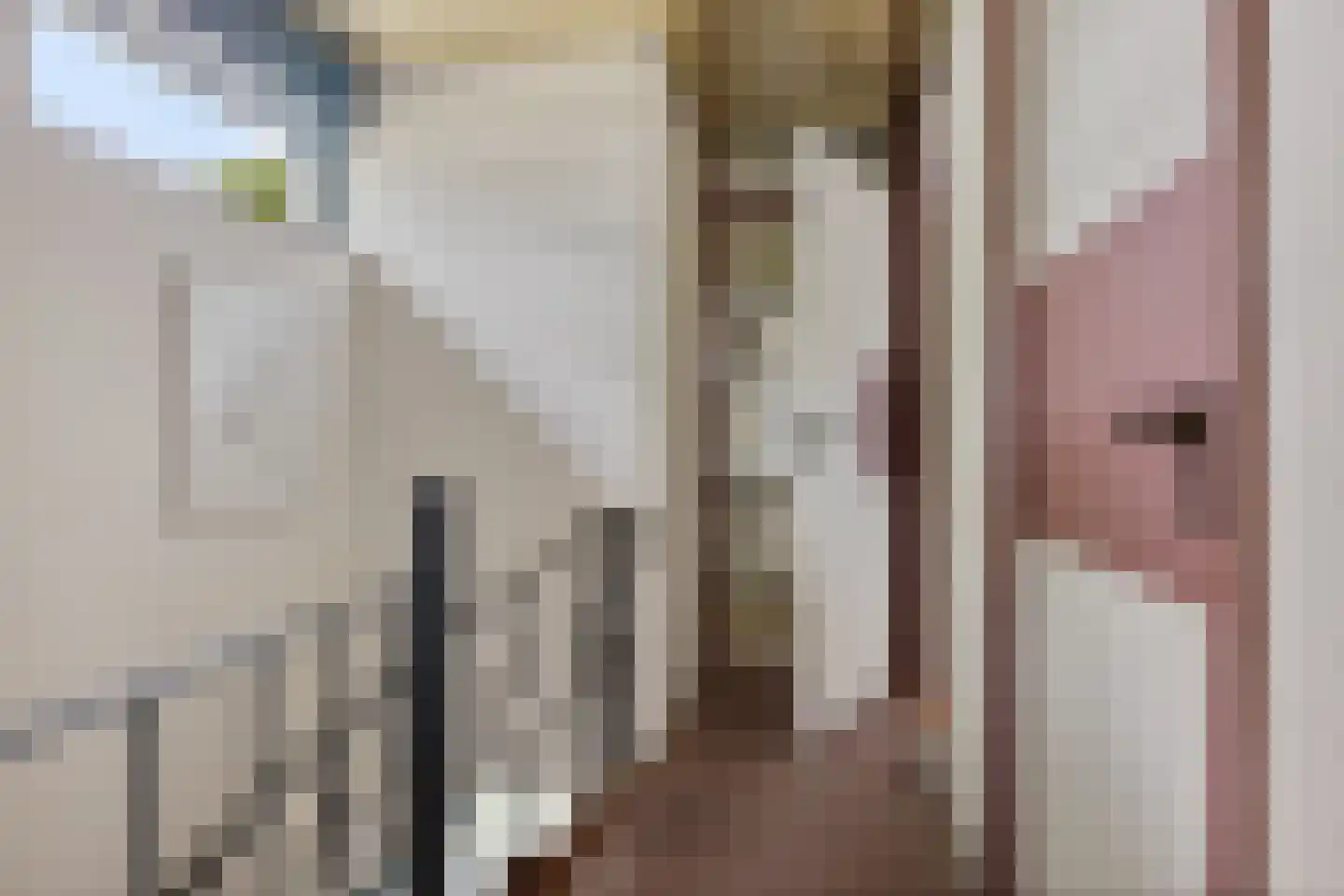 Bovendiepen 21 Zuidlaren thumbnail 35