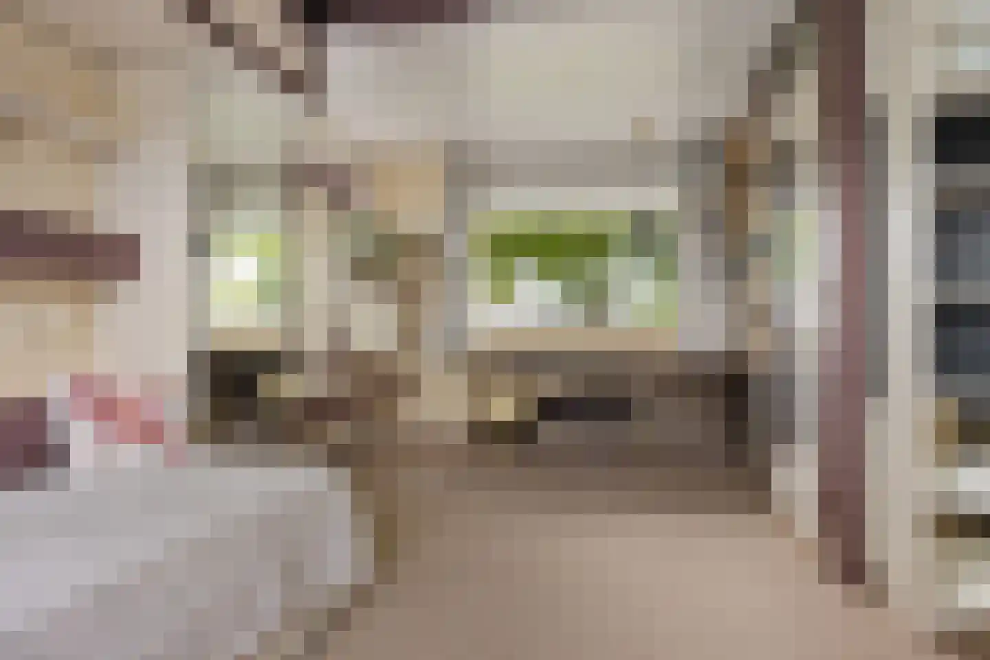 Bovendiepen 21 Zuidlaren thumbnail 41
