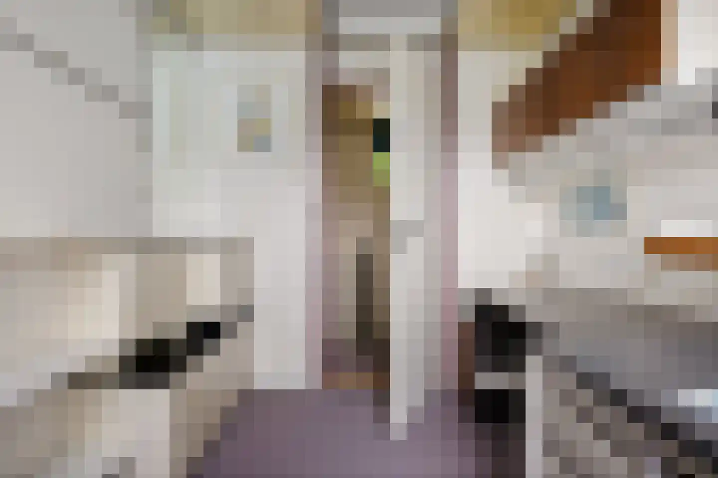 Bovendiepen 21 Zuidlaren thumbnail 42