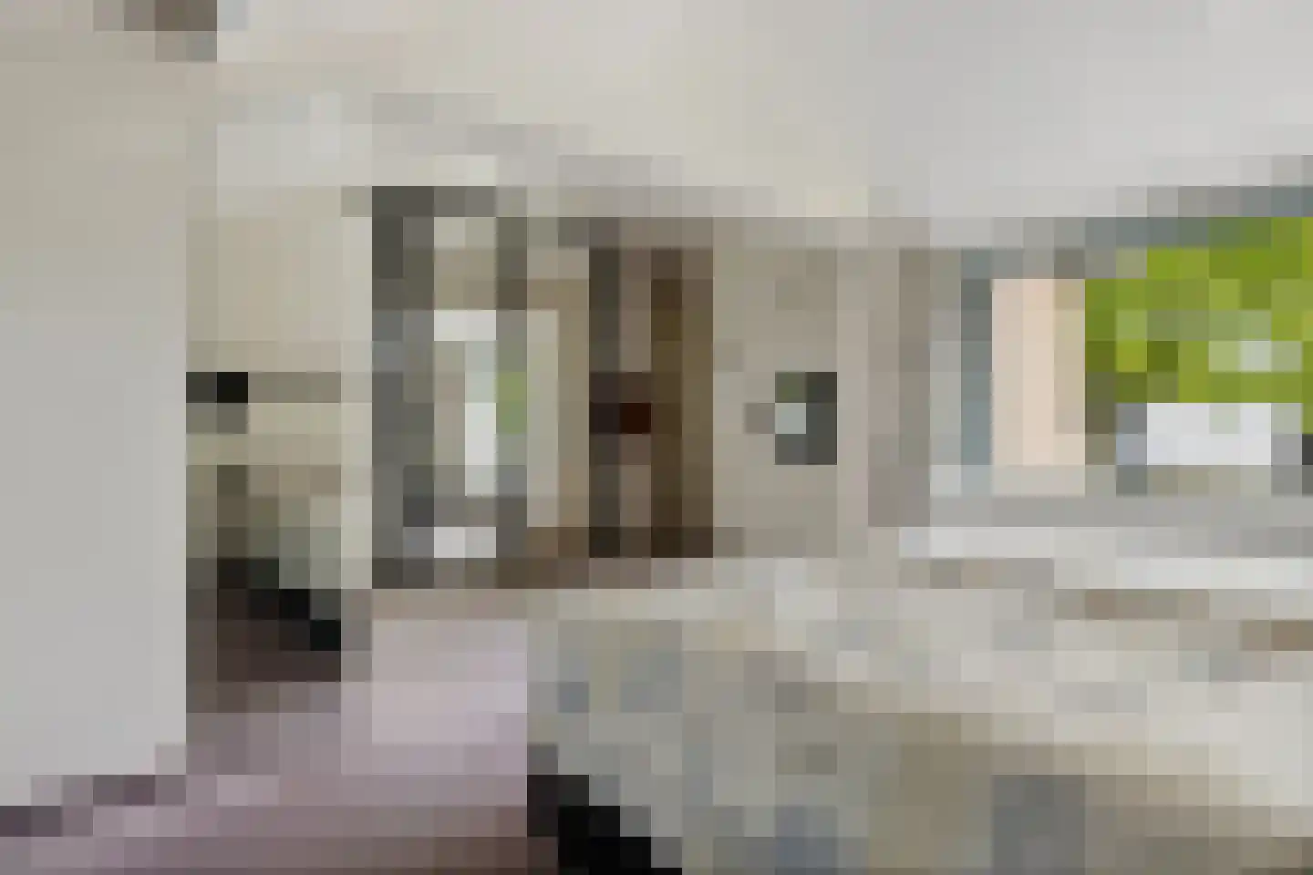 Bovendiepen 21 Zuidlaren thumbnail 45