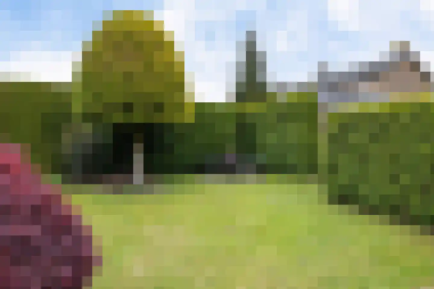 Bovendiepen 21 Zuidlaren thumbnail 5