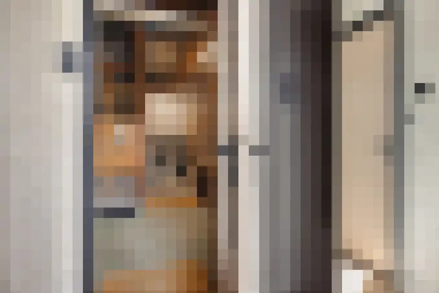 Bovendiepen 21 Zuidlaren thumbnail 55