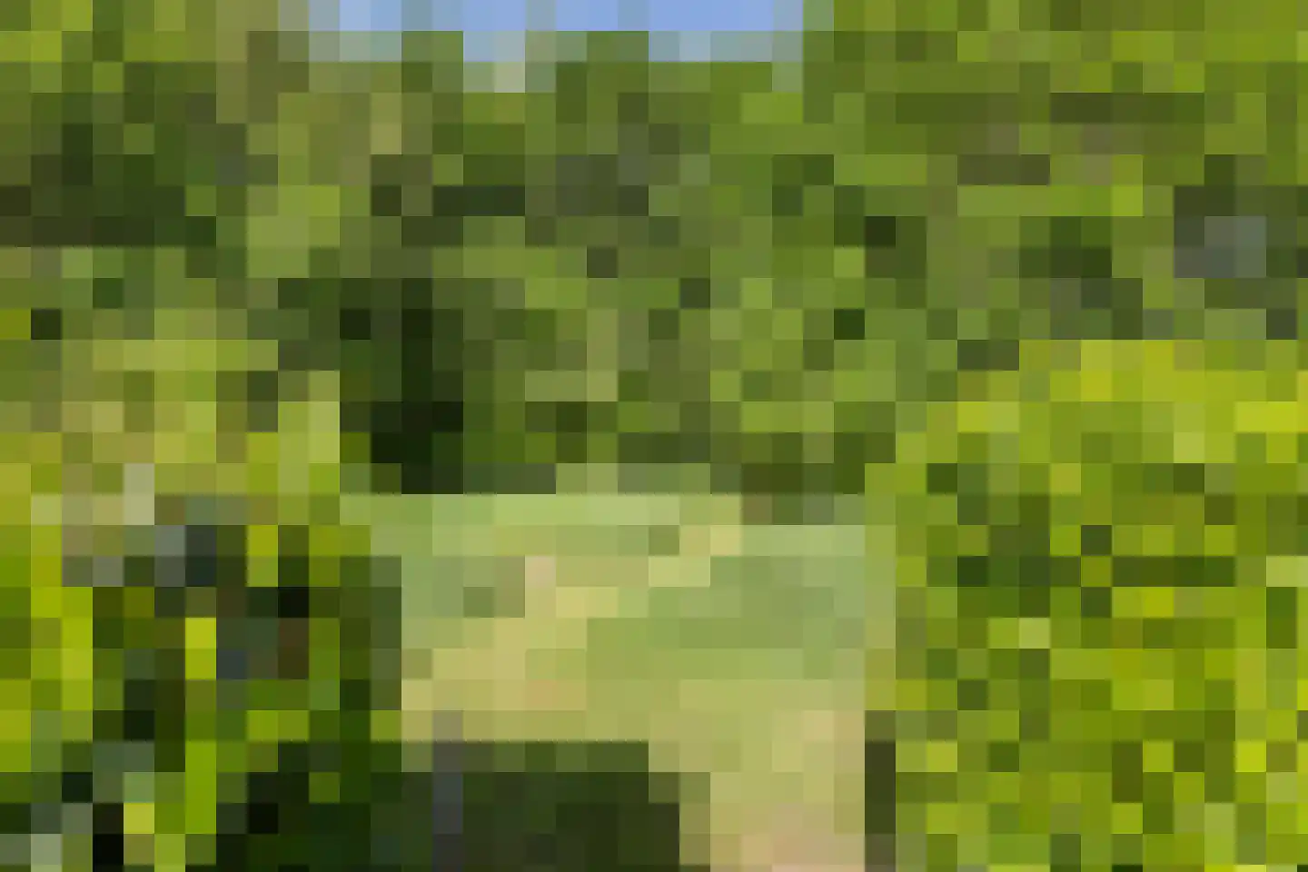 Bovendiepsterweg 4 Sellingen thumbnail 41