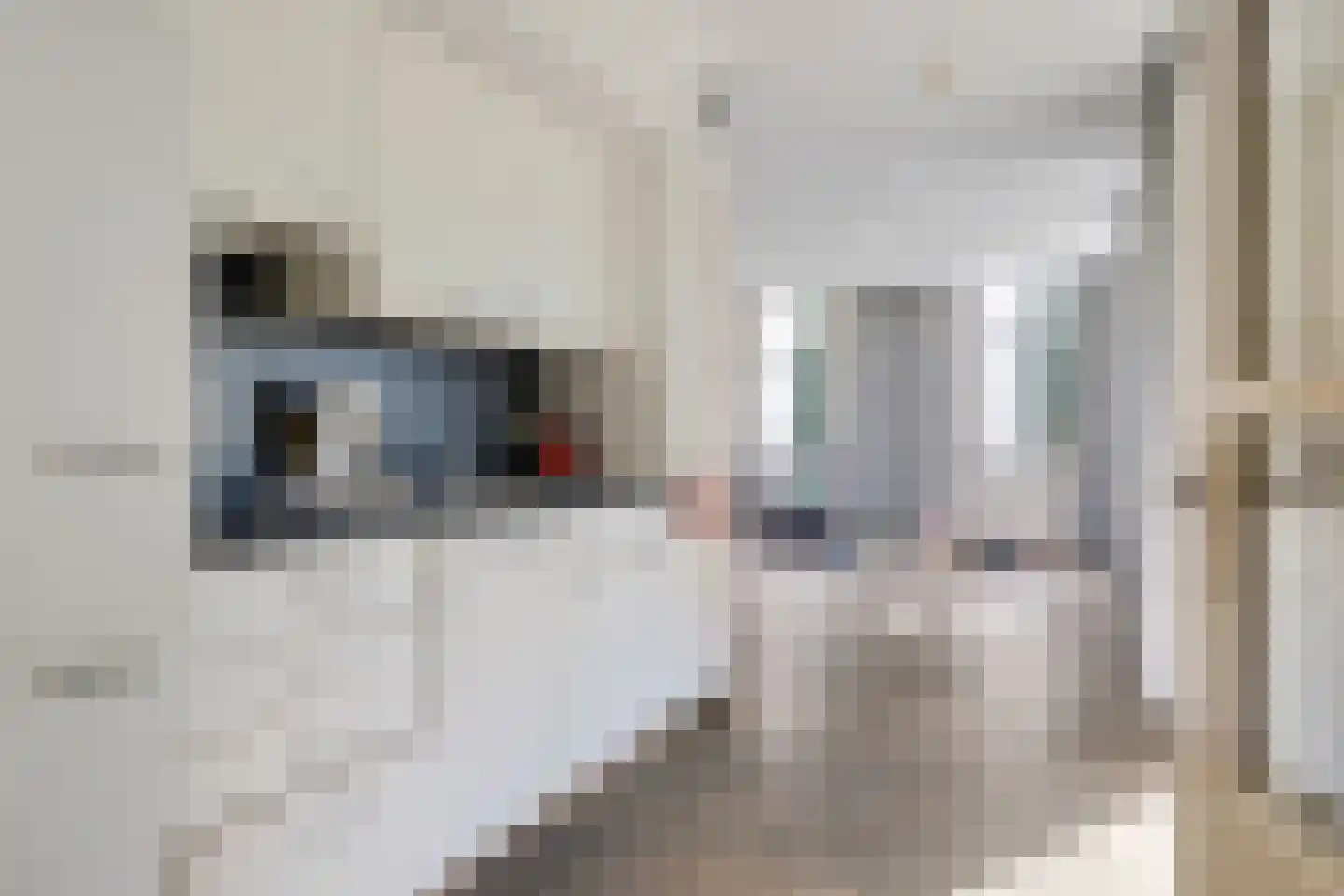 Bovendiepsterweg 4 Sellingen thumbnail 9