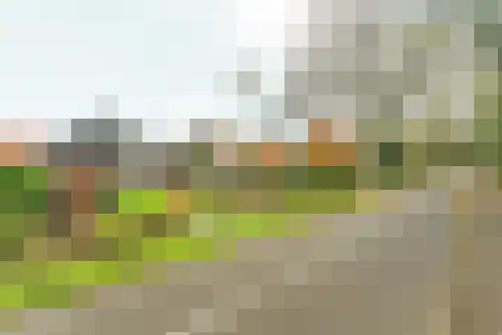 Bovendijk 127 Wateringen thumbnail 12