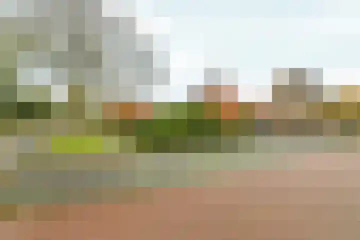 Bovendijk 127 Wateringen thumbnail 13