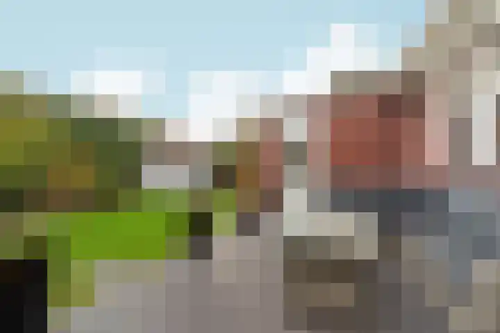 Bovendijk 127 Wateringen thumbnail 66