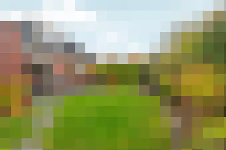 Bovendijk 127 Wateringen thumbnail 69