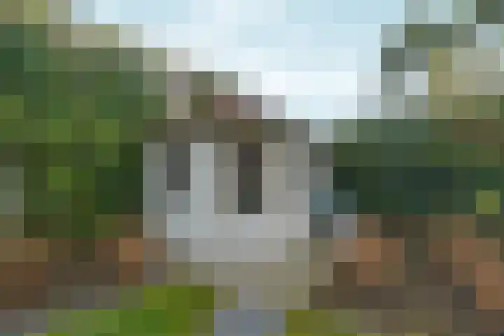 Bovendijk 127 Wateringen thumbnail 71