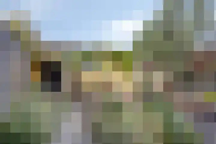 Bovendonk 148 Roosendaal thumbnail 21