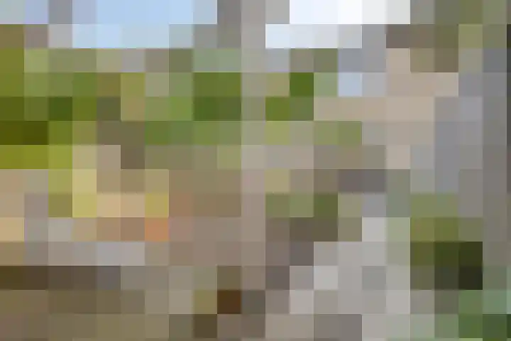 Bovendonk 148 Roosendaal thumbnail 22