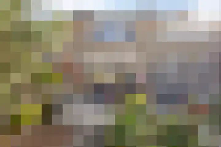 Bovendonk 148 Roosendaal thumbnail 23