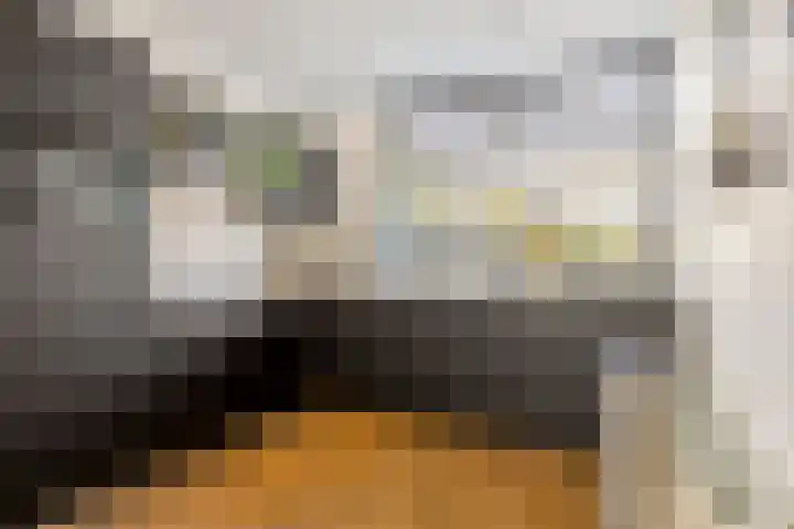 Bovendonk 148 Roosendaal thumbnail 8