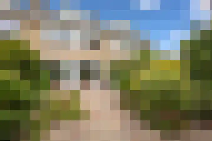 Bovendonk 74 Roosendaal thumbnail 36