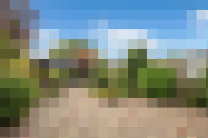 Bovendonk 74 Roosendaal thumbnail 39