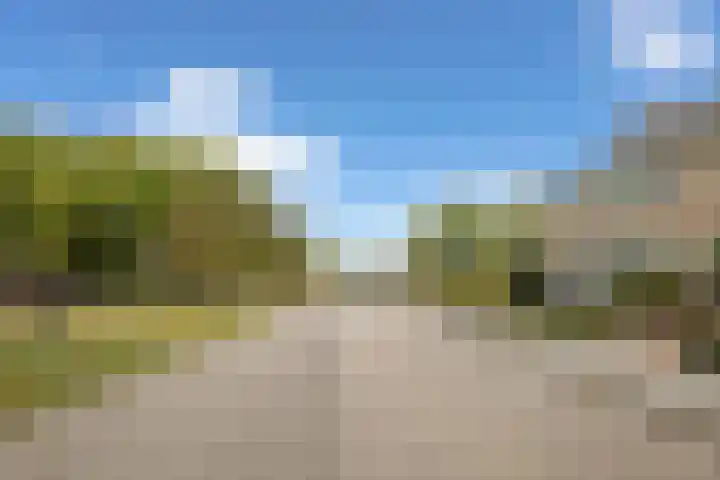 Bovendonk 74 Roosendaal thumbnail 47