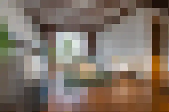 Bovendonksestraat 43 Hoeven thumbnail 10