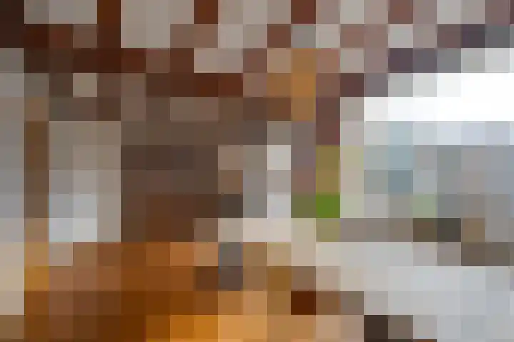 Bovendonksestraat 43 Hoeven thumbnail 12