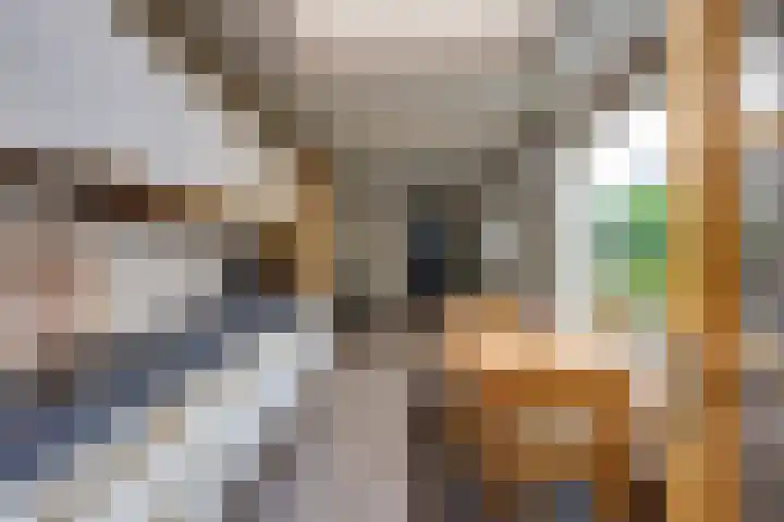 Bovendonksestraat 43 Hoeven thumbnail 13