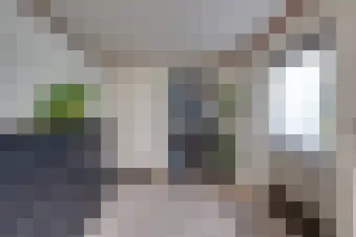 Bovendonksestraat 43 Hoeven thumbnail 15