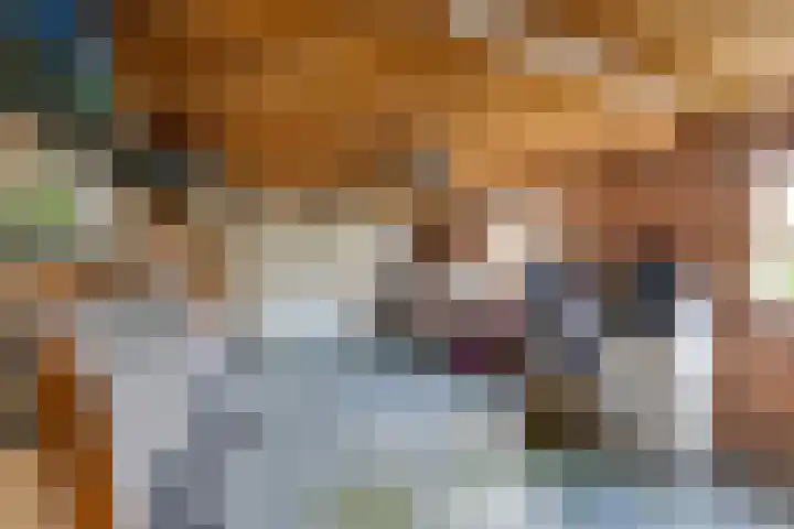 Bovendonksestraat 43 Hoeven thumbnail 17
