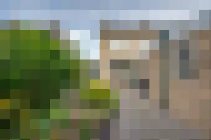 Bovendonksestraat 43 Hoeven thumbnail 33