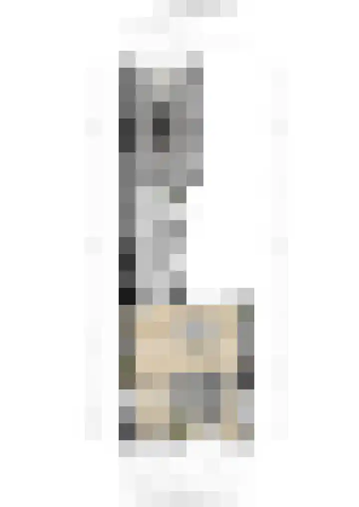 Bovendonksestraat 43 Hoeven thumbnail 35