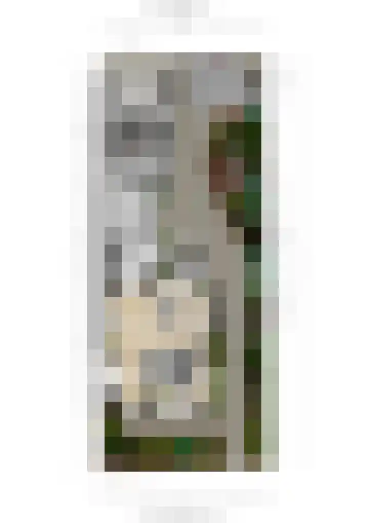 Bovendonksestraat 43 Hoeven thumbnail 40
