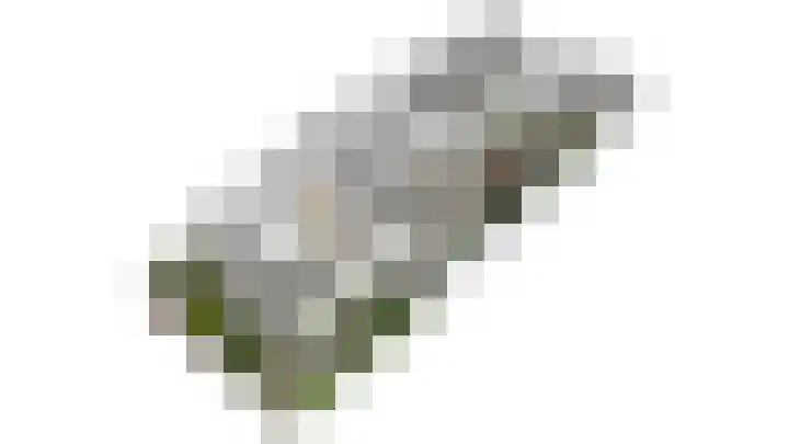 Bovendonksestraat 43 Hoeven thumbnail 41
