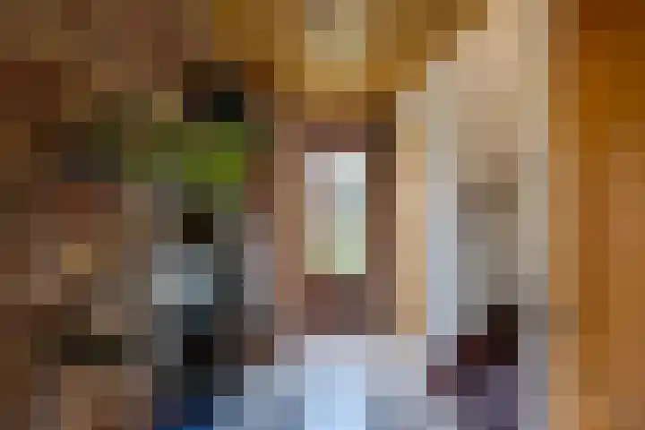 Bovendonksestraat 43 Hoeven thumbnail 5