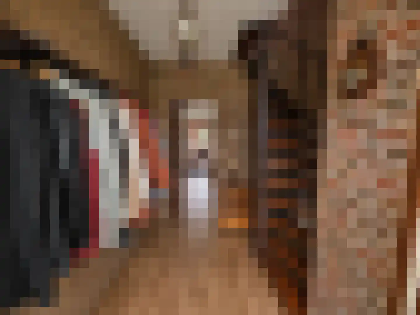 Bovendonksestraat 45 Hoeven thumbnail 10
